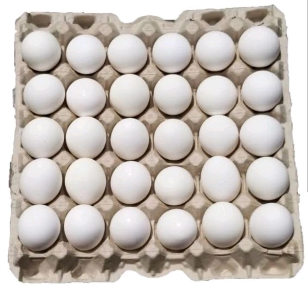 White Egg - 15Egg