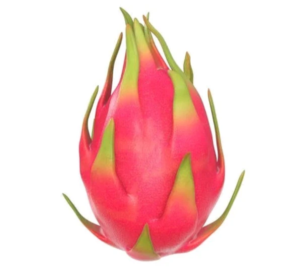 Dragon Fruit 