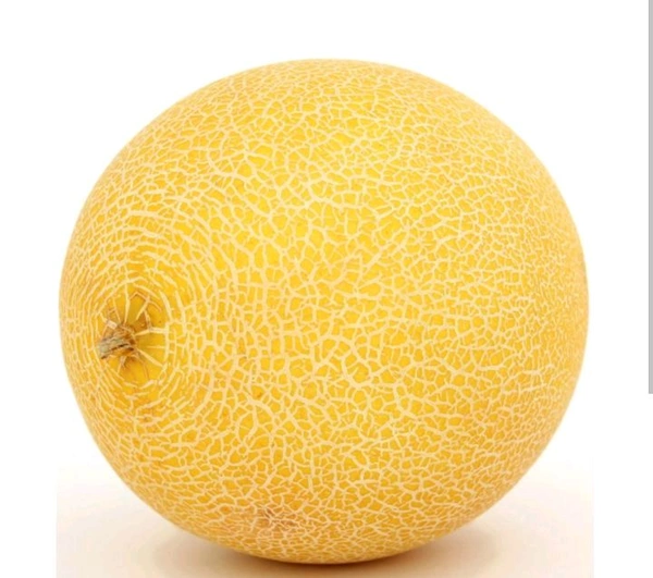 Musk Melon ( Kharbuja ) - 1 Whole Piece