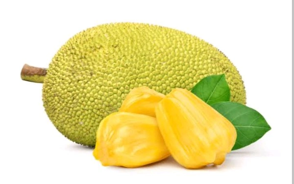 Ripe Jackfruit  - 1 Whole