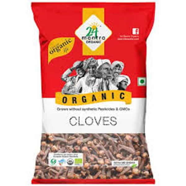 24 MANTRA ORGANIC CLOVES - 50GM