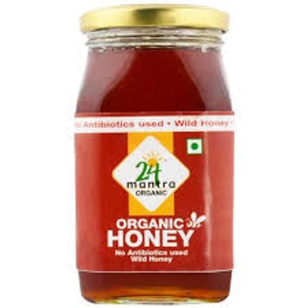 24 MANTRA ORGANIC HONEY - 500GM