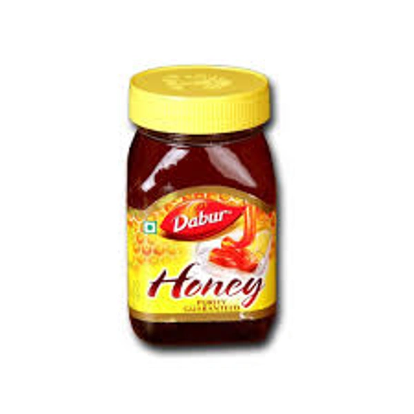 DABUR HONEY - 100GM