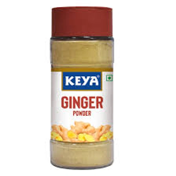 KEYA GARLIC POWDER - 55GM