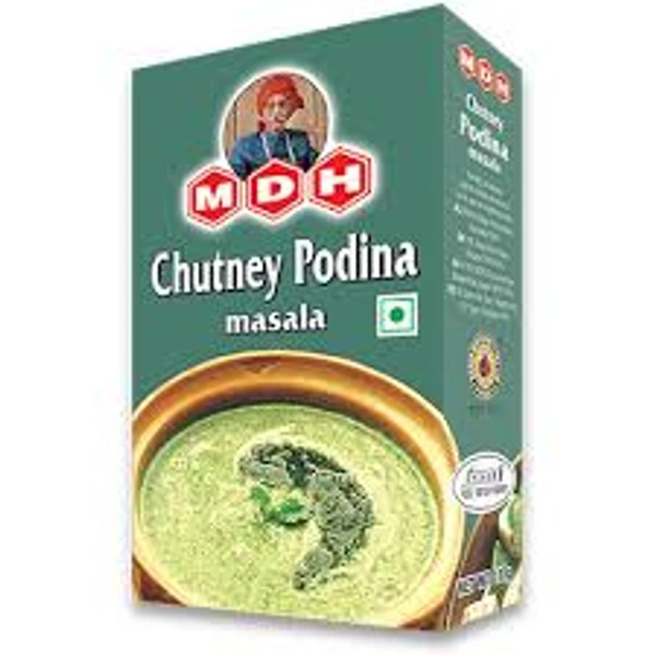 MDH CHUTNEY PUDINA MASALA - 100GM