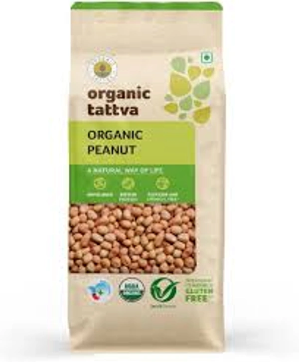 ORGANIC TATTVA PEANUTS - 500GM