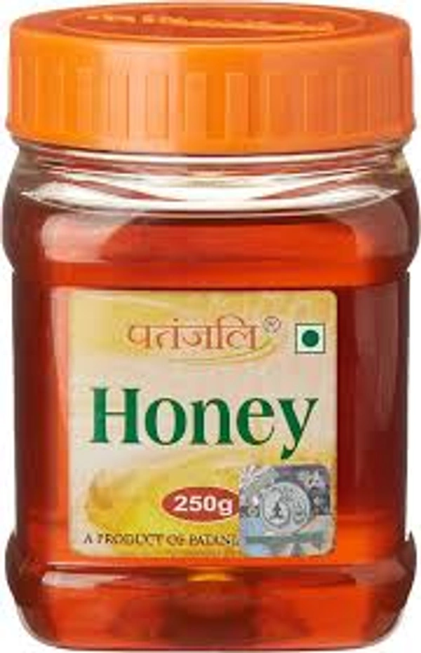 PATANJALI HONEY - 250GM