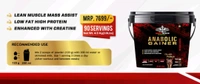 𝐂𝐎𝐌𝐁𝐎 :𝗔𝗡𝗔𝗕𝗢𝗟𝗜𝗖 𝗚𝗔𝗜𝗡𝗘𝗥 - 5KG BCAA=30 SERVINGS