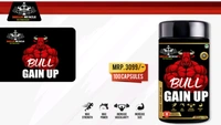 COMBO - 𝗥𝗔𝗣𝗜𝗗 𝗠𝗔𝗦𝗦 𝗚𝗔𝗜𝗡𝗘𝗥 - 3𝗞𝗚 + BULL GAINUP