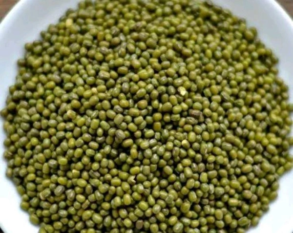 Moong Dal - Japanese Laurel, Kg