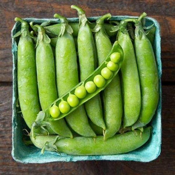 Green Pea (Hara matar, chhimmi ) - 1 Kg