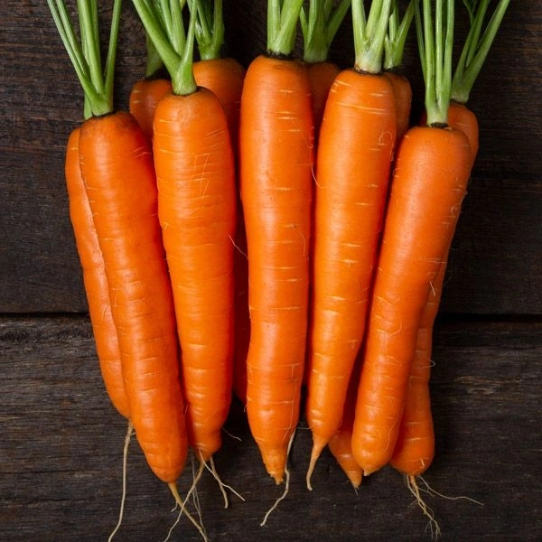 Carrot ( Gajar ) - 1 Kg