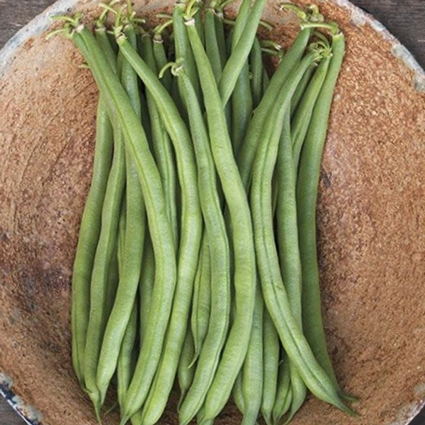 Beans (Bodo) - 1 Kg