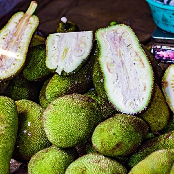 Jackfruit Katahal कटहल  - 1 kg