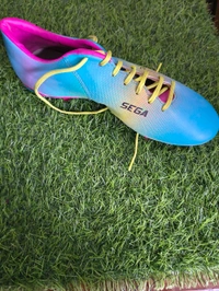 Sega - Cornflower Blue, Himanshu Sport, 9