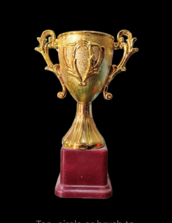 Trophy - Himanshu Sports, 9×6 inch