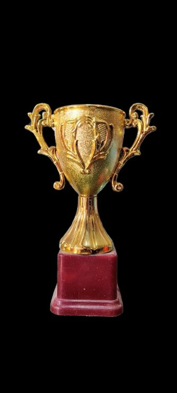Trophy - Himanshu Sport, 7×5