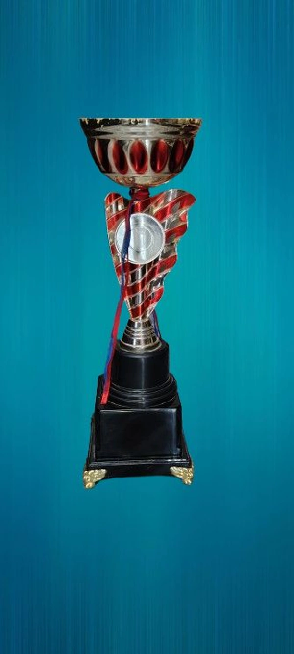 Trophy - Himanshu sport, 15×5 inch