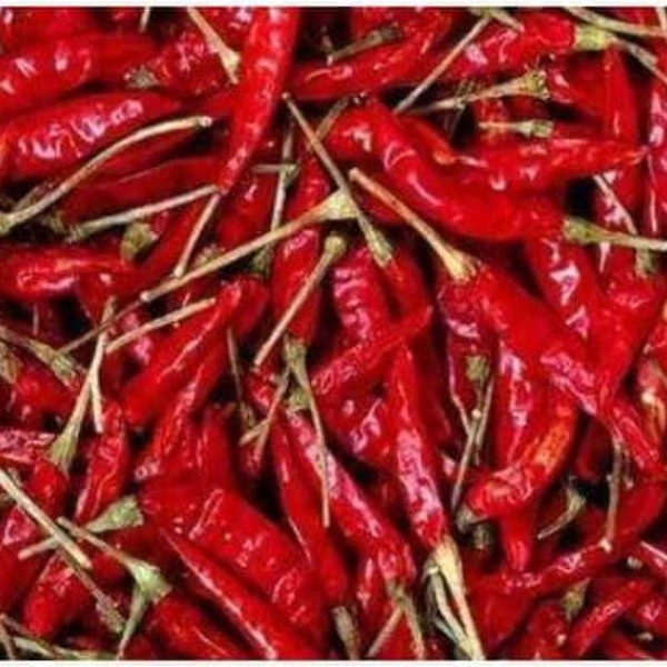 Red chilli ( Sukha Mircha ) - 100g