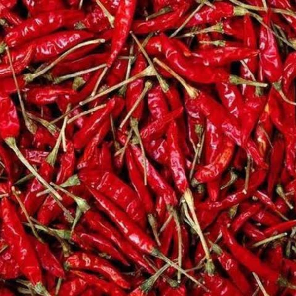 Red chilli ( Sukha Mircha ) - 100g