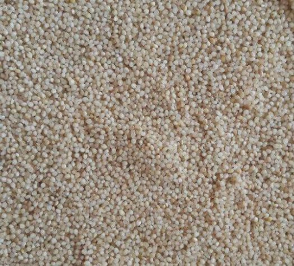 சாமை 1kg