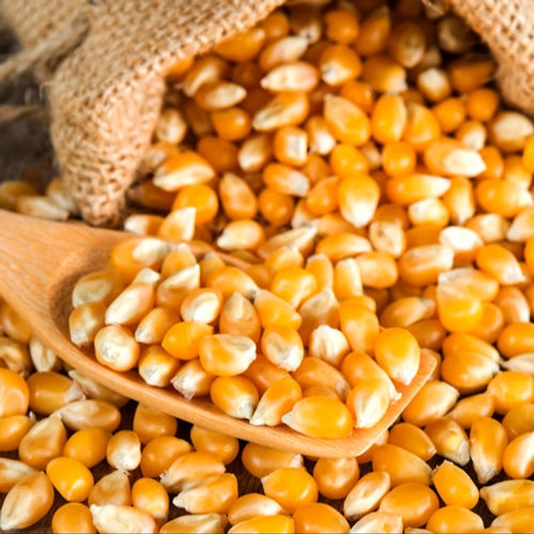 மக்கா சோளம் 1/2kg Sollam