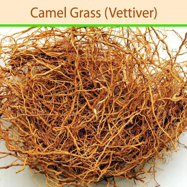 வெட்டிவேர் Vetti Ver 50gms