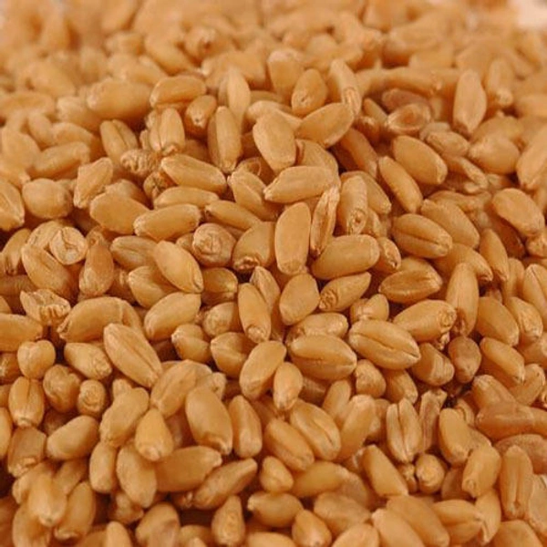சர்பதி கோதுமை 1kg