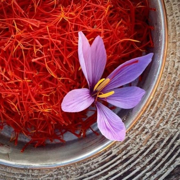 Saffron 1/2gm குங்குமப்பூ 