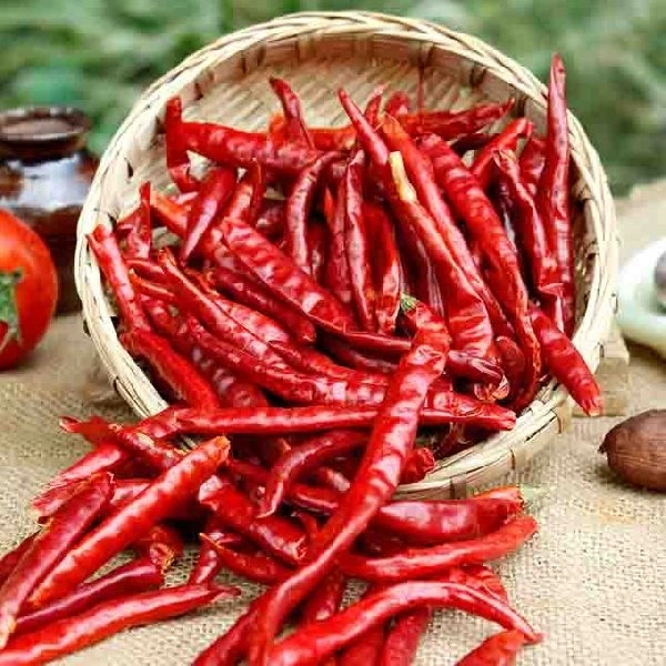 red chilli வர மிளகாய் 1kg