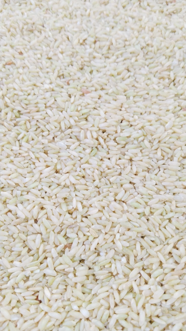 இலுப்பை பூ சம்பா அரிசி 1kg