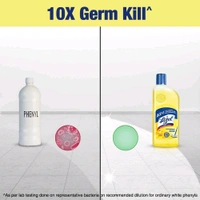 Lizol Disinfectant Surface & Floor Cleaner (Citrus) 500 ml - 500 ml