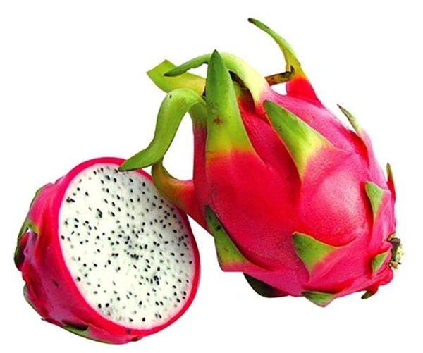 Dragon Fruit