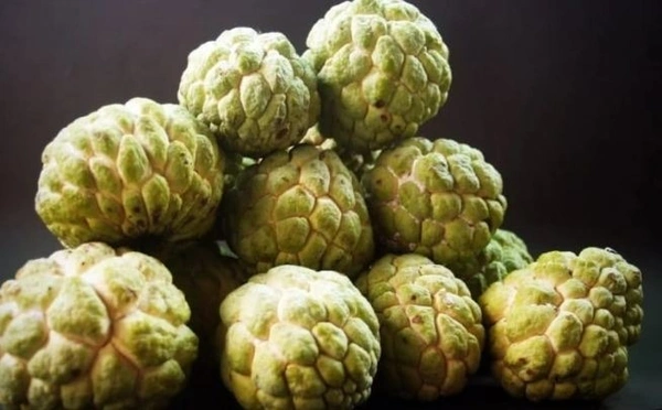 Custard apple (शरीफा) - 1kg