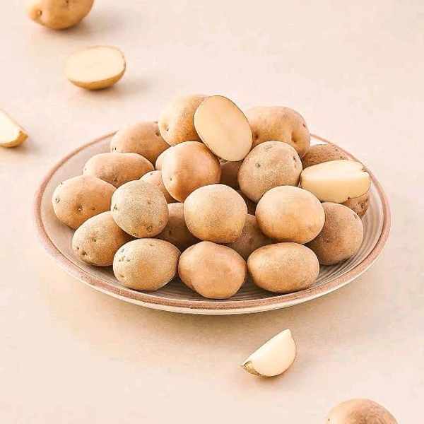 Potato Small - Salomie, Small
