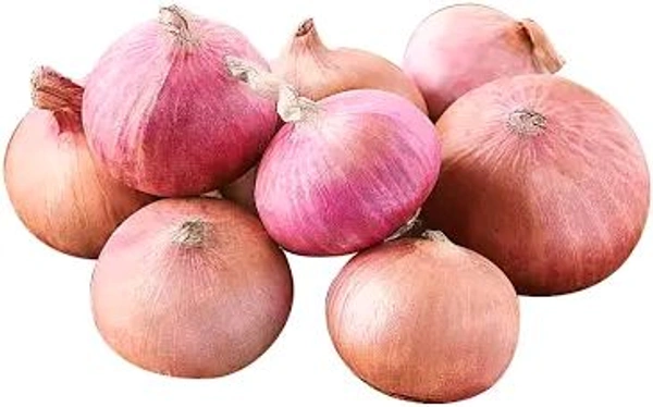 Onion Large - Large