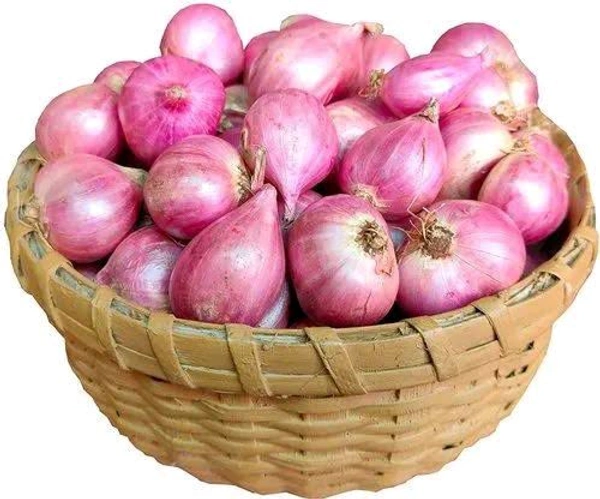 Onion Medium - Medium