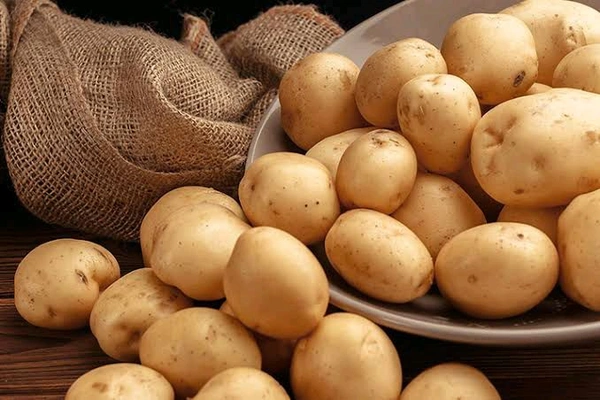 Potato ungraded - Mix Size