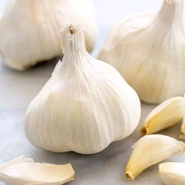 Garlic Large - Large