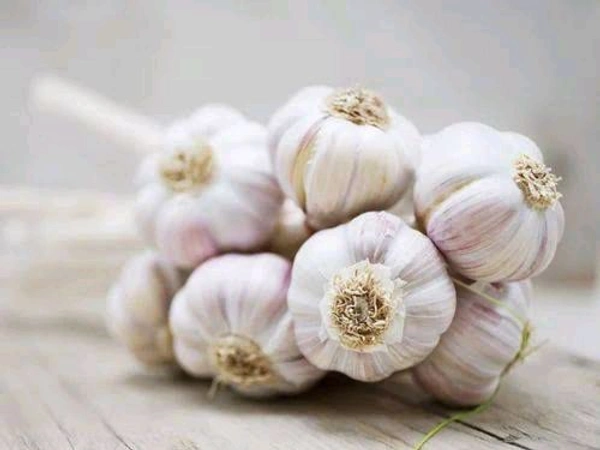 Garlic Ungraded - Mix Size