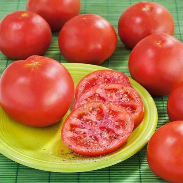 Tomato - Hybrid