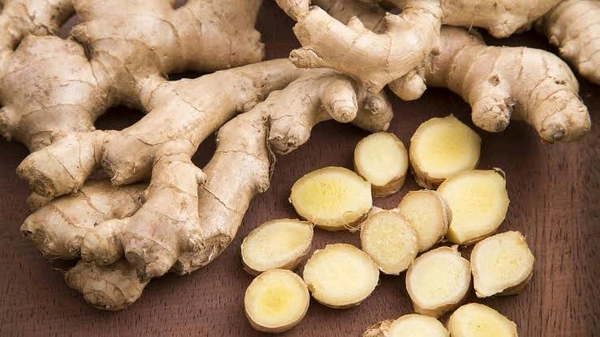 Ginger - Medium
