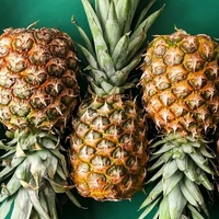 Pineapple (A Grade) - 1 Pc (600-800 Gm)