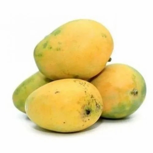 Mango - Banginapalli (A Grade) - 1 Kg