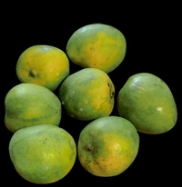 Mango - Malgova (A Grade) - 1 Box (21 Kg)
