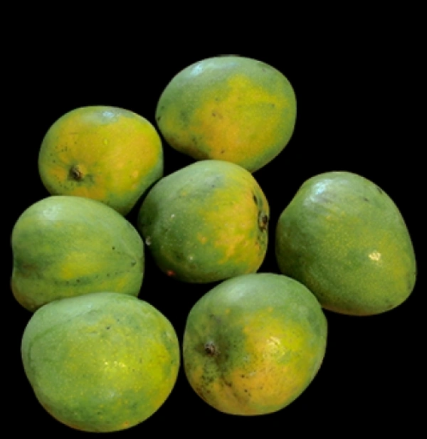 Mango - Malgova (A Grade) - 1 Box (21 Kg)