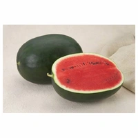 Watermelon - Kirana (A Grade) - 1 Bag (20 Kg)