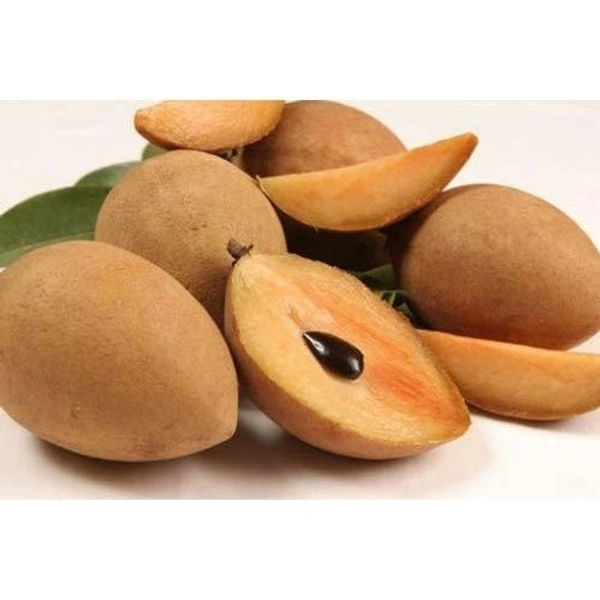 Chikoo (A Grade) - 1 Box (5 Kg)