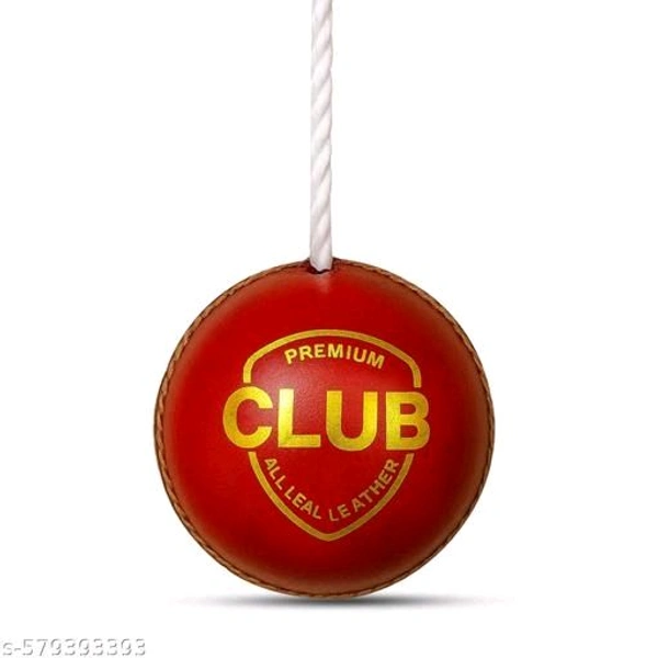 Cricket Hanging Ball (Leather)
