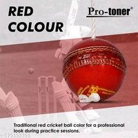 Cricket Hanging Ball (Leather)